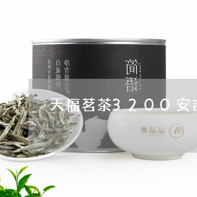 天福茗茶3200安吉白茶/2023033032724