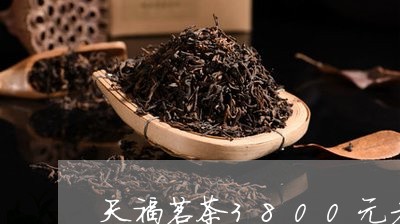 天福茗茶3800元老白茶/2023033050692