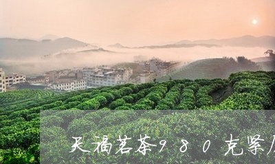 天福茗茶980克紧压白茶/2023033102737