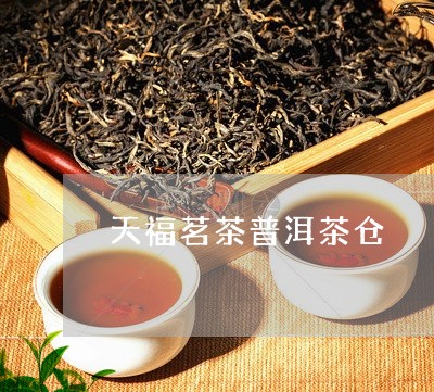 天福茗茶普洱茶仓/2023040114058