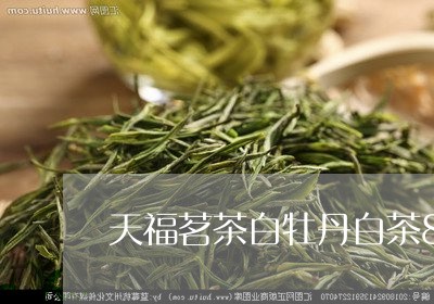 天福茗茶白牡丹白茶80克/2023033197148