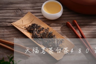 天福茗茶白茶480元价格/2023033142713