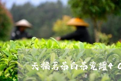 天福茗茶白茶瓷罐400克/2023033047462