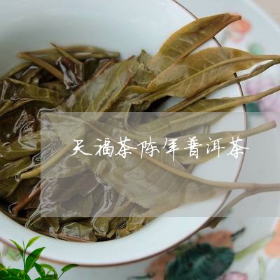 天福茶陈年普洱茶/2023041297159