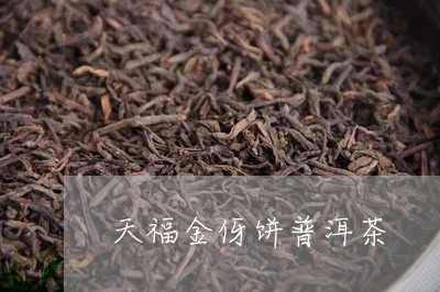 天福金伢饼普洱茶/2023033030462