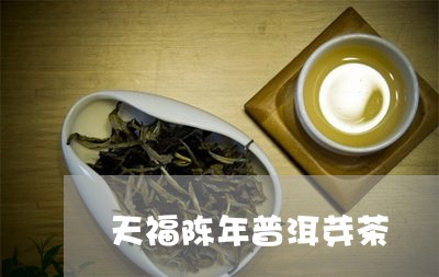 天福陈年普洱芽茶/2023032973363