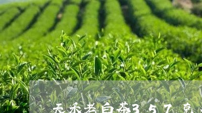 天禾老白茶357克多少钱/2023033087348