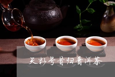 天籽号昔归普洱茶/2023031767269