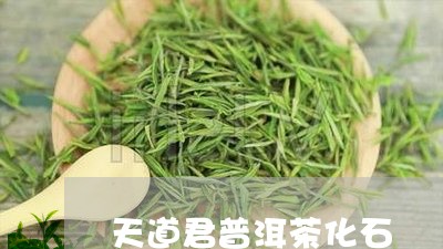 天道君普洱茶化石/2023041084838