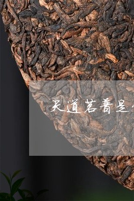 天道茗普是什么茶/2023032661705