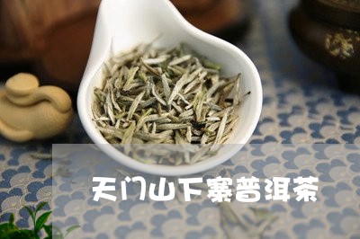 天门山下寨普洱茶/2023040152795