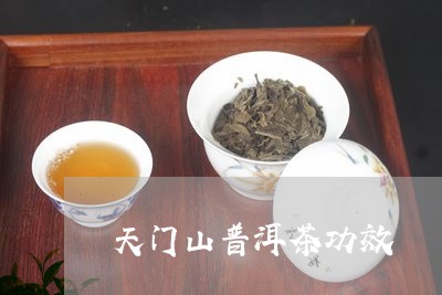 天门山普洱茶功效/2023041276179