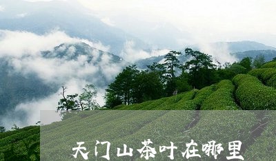 天门山茶叶在哪里/2023032694250