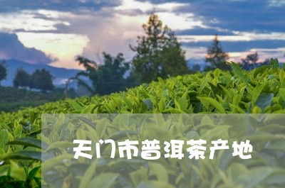 天门市普洱茶产地/2023041391537