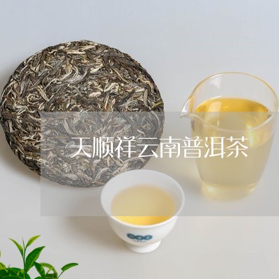 天顺祥云南普洱茶/2023041041814