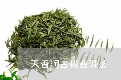 天香润古树普洱茶/2023033193757