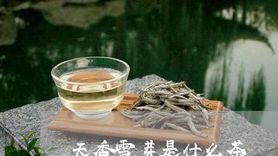 天香雪芽是什么茶/2023032442605