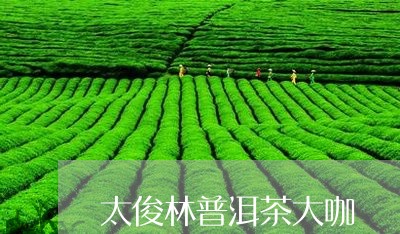 太俊林普洱茶大咖/2023033178382