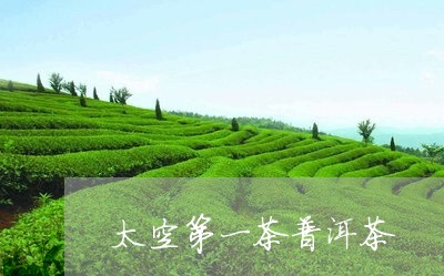 太空第一茶普洱茶/2023041147169