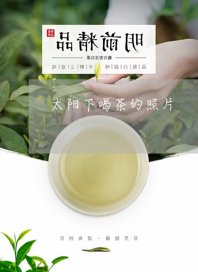 太阳下喝茶的照片/2023032478359