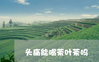 头痛能喝茶叶茶吗/2023032649614