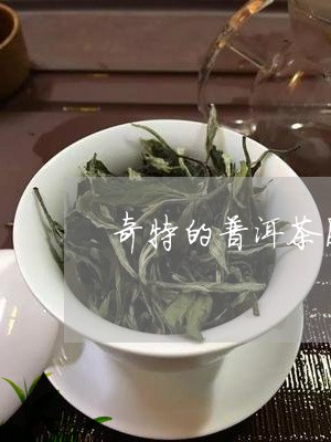 奇特的普洱茶图片/2023041048391