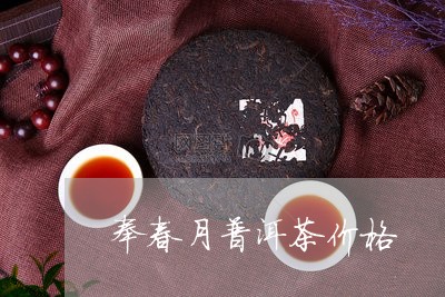 奉春月普洱茶价格/2023040160693