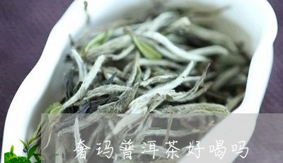 奢玛普洱茶好喝吗/2023031673917