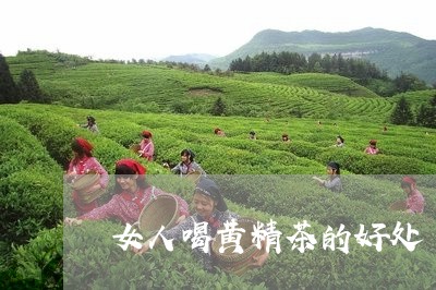 女人喝黄精茶的好处/2023032169572