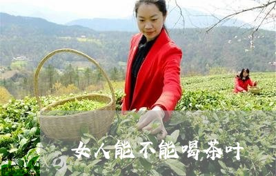 女人能不能喝茶叶/2023032636168