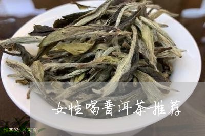 女性喝普洱茶推荐/2023040917372