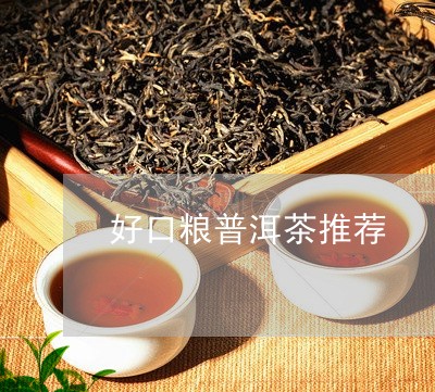 好口粮普洱茶推荐/2023040910581