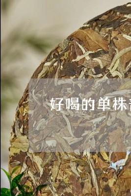 好喝的单株普洱茶/2023041032825