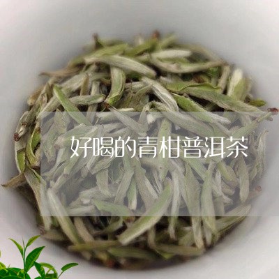 好喝的青柑普洱茶/2023041387270