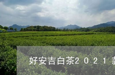 好安吉白茶2021款价格/2023033027391