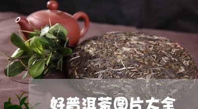 好普洱茶图片大全/2023031650158