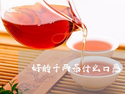 好的千两茶什么口感/2023031959516