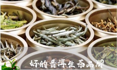 好的普洱生茶品牌/2023032952726