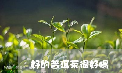 好的普洱茶很好喝/2023031768372