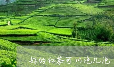 好的红茶可以泡几泡/2023041477360