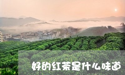 好的红茶是什么味道/2023041525939