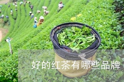 好的红茶有哪些品牌/2023041672606