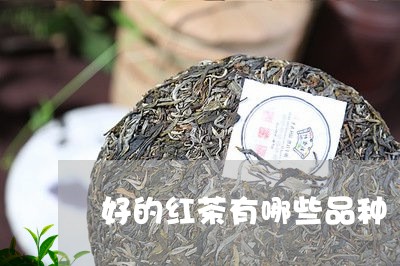 好的红茶有哪些品种/2023032163916