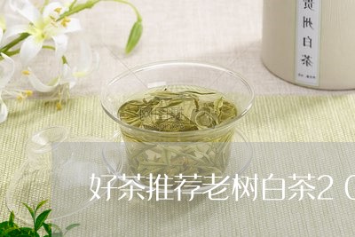 好茶推荐老树白茶200克/2023033184159