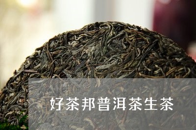 好茶邦普洱茶生茶/2023041179725