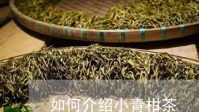 如何介绍小青柑茶/2023032695069