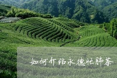 如何介绍永德忙肺茶/2023041639385