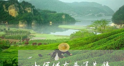 如何储存普洱茶饼/2023041316149