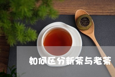 如何区分新茶与老茶/2023031918361