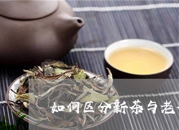 如何区分新茶与老茶/2023041514827